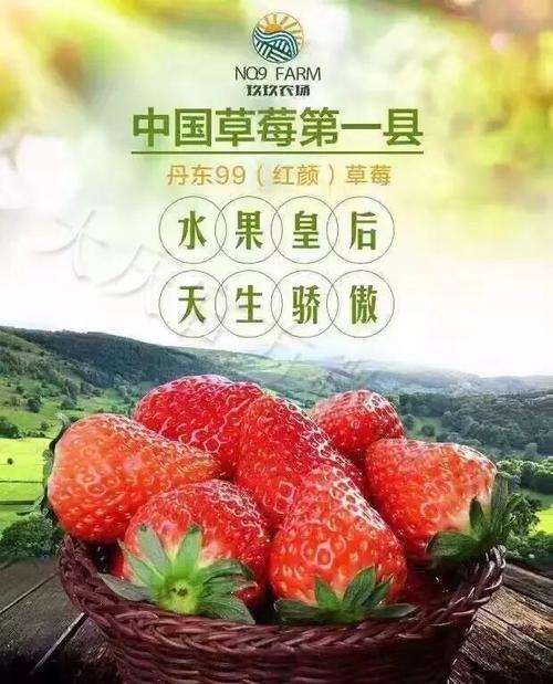 丹东大草莓宣传语句