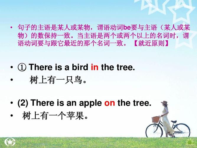 树上有多少只鸟英语句子